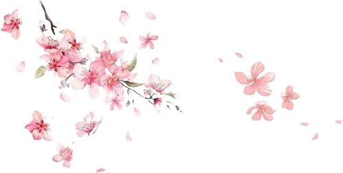 Rosa - 2,