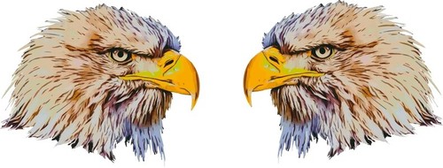 Sticker aufkleber adler - 2x,