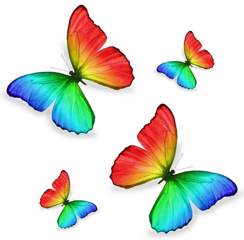 Set sticker aufkleber - set, 4x